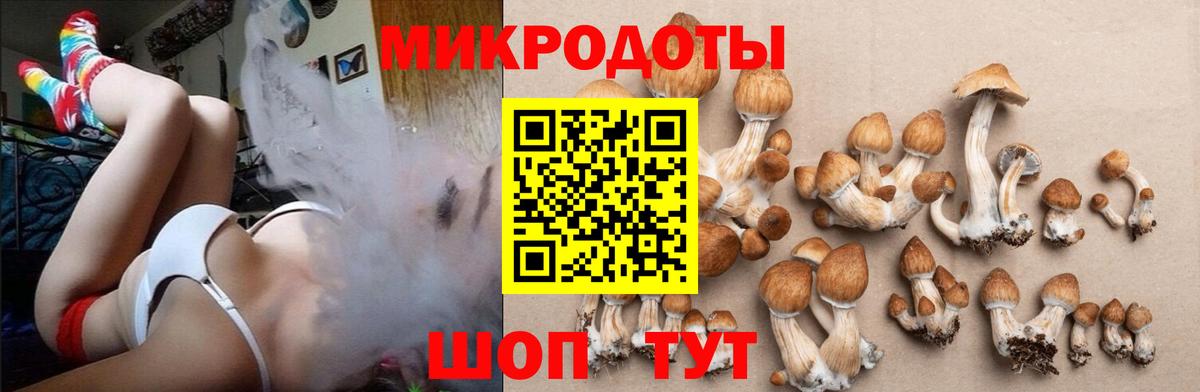 Десногорск  Галлюциногенные грибы Magic Shrooms  Вход с VPN 