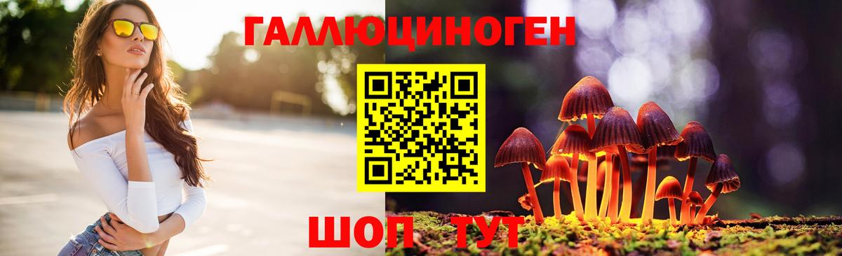 Галлюциногенные грибы Cubensis Десногорск
